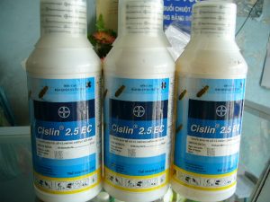 161-10606-cislin-2-5-ec-chong-mot-moi-go-chuyen-dung[1]